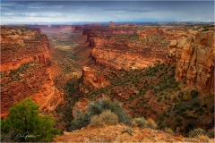 DSC7330-Millard-Overlook-web