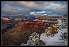 DSC8591-GC-Winter-web