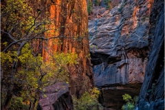 2015-11-24-Canyon-Color-web