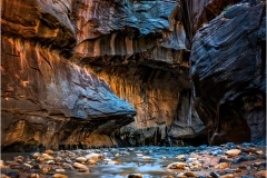 2015-11-24-Out-of-Darkness-web