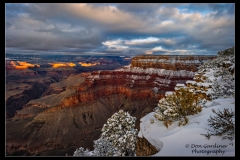 DSC8591-GC-Winter-web