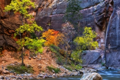Fall-Colors-Zion-Narrows