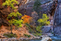 Fall-Colors-Zion-Narrows