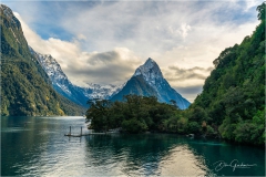 Milford-Sound-Dock