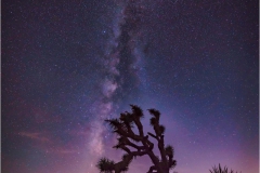 DSC8393-Milky-Way-w-Crescent-Moon-web