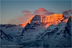 DSC1142-Timp-Closeup-cropped-web