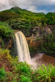 DSC7263-Waimea-Falls-Portrait-web