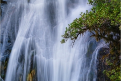 DSC1843-Fantail-Falls-1-web