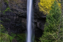 DSC9723-Latourell-Falls-web