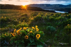 DSC0065-Sunset-at-Rowena-Crest-web